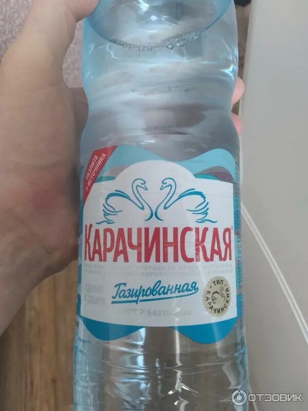 Карачинская минеральная вода фото Отзыв о Минеральная вода "Карачинская" Приятно удивлён!