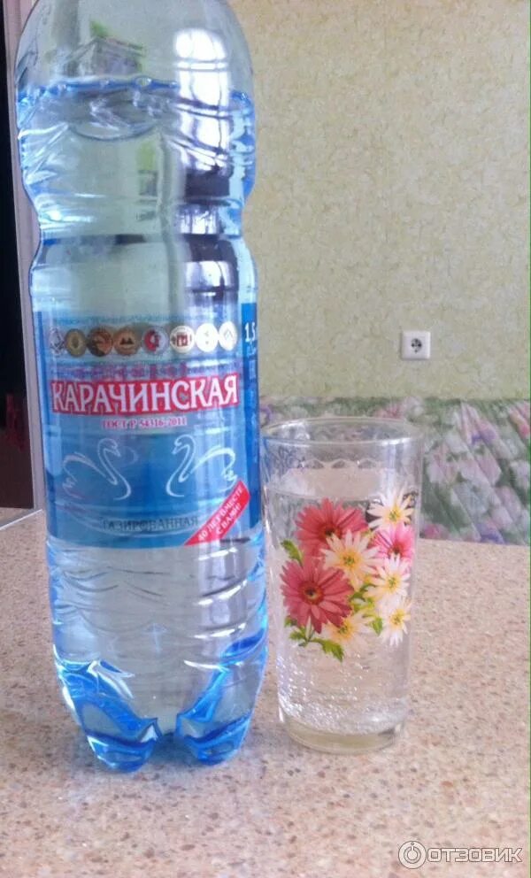 Карачинская минеральная вода фото Отзыв о Минеральная вода "Карачинская" Любимая минералка моей семьи