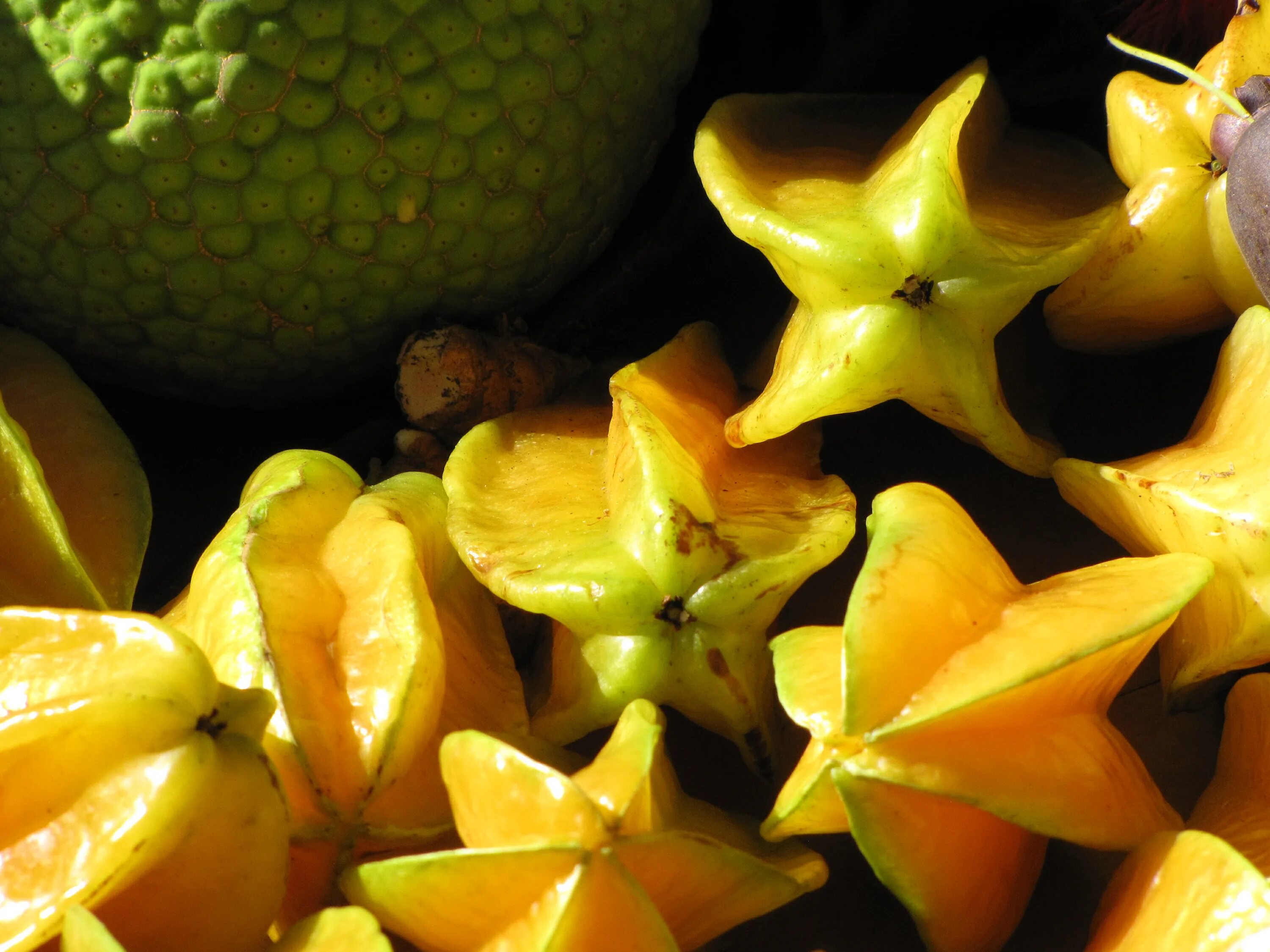 Карамболь фрукт фото File:Starr-121109-0924-Averrhoa carambola-fruit from Pali o Waipio-Hawea Pl Olin