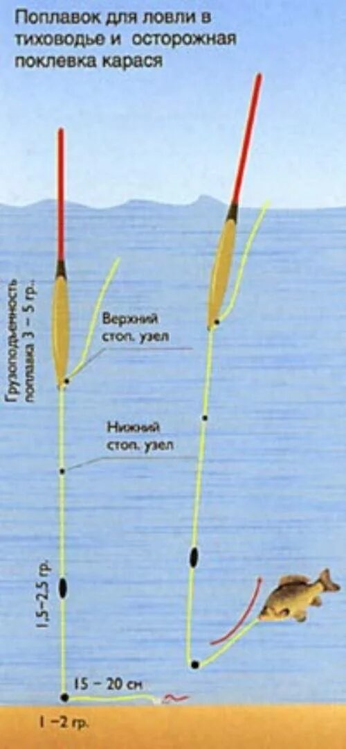 Карась оснастка поплавок Поплавочные снасти для ловли карася - Рыбалка онлайн