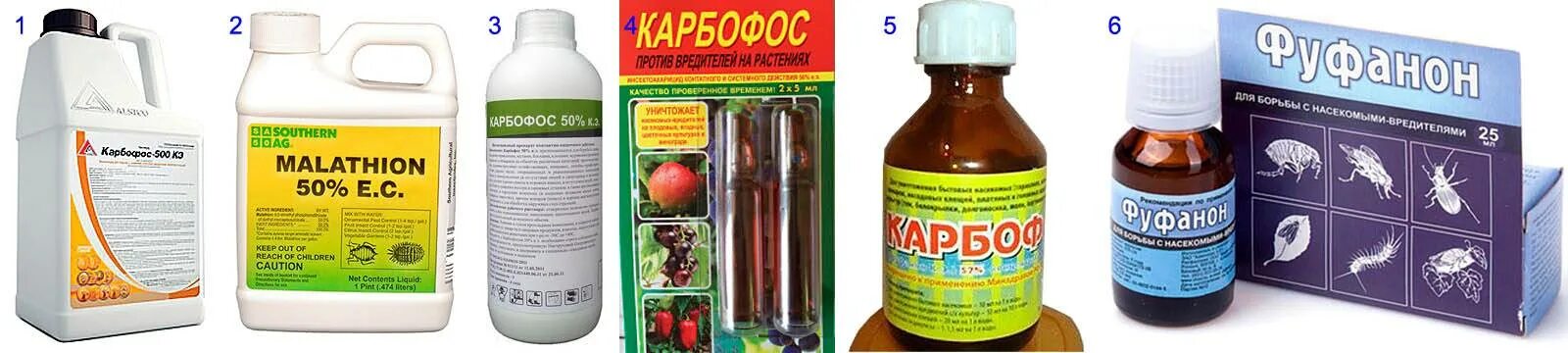 Карбофос от клопов фото Карбофос от клопов в порошке - особенности, эффективность, принцип действия, плю