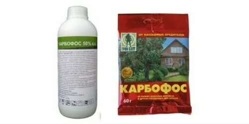 Карбофос от клопов фото Отзывы о Карбофосе от клопов - эффективное средство