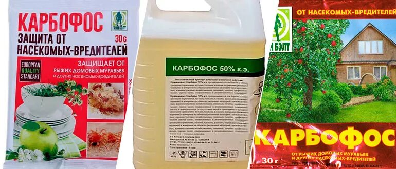 Карбофос от клопов фото Карбофос" от клопов: отзывы покупателей