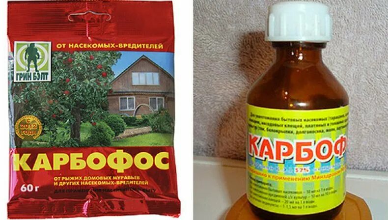 Карбофос от клопов фото Карбофос - инструкция и применение средства