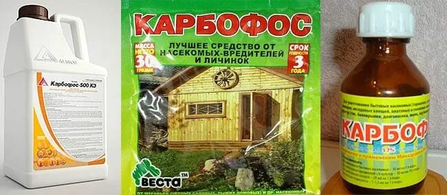 Карбофос от клопов фото Карбофос от клопов в порошке - особенности, эффективность, принцип действия, плю