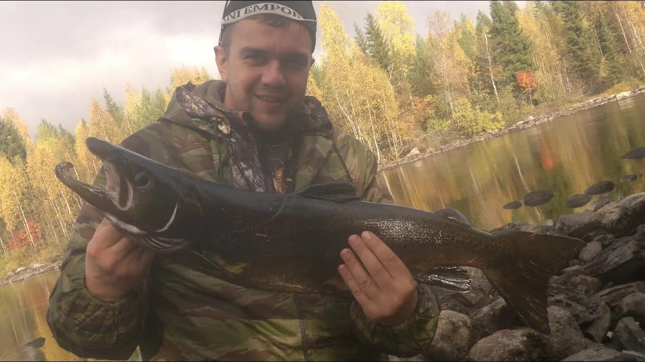 Карелия на что ловить рыбу Рыбалка в Карелии. Ловля лосося на спиннинг. Fishing in Karelia. Salmon fishing 