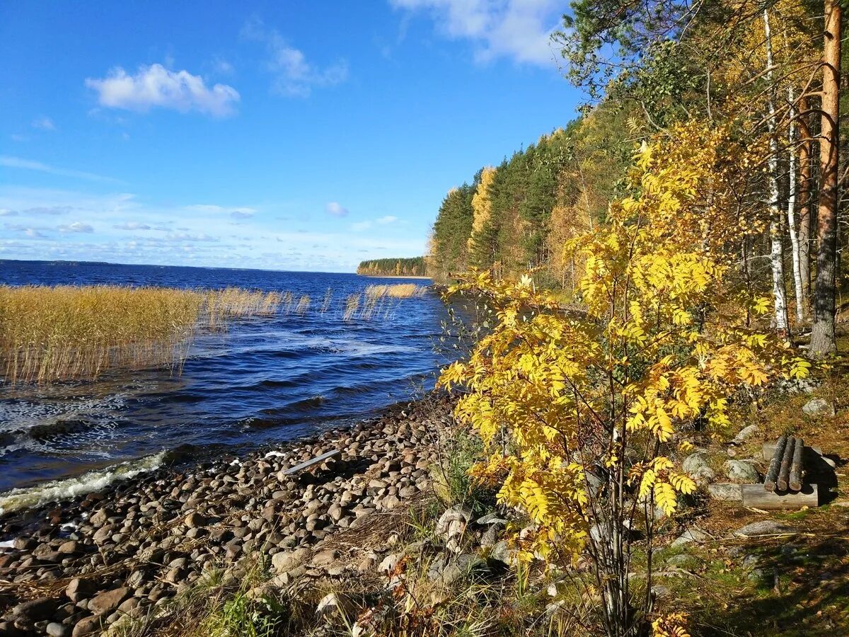 Карелия сентябрь фото Погода в карелии в сентябре - найдено 83 фото