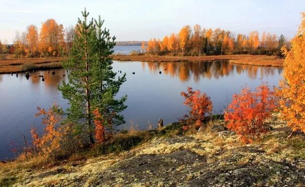 Карелия сентябрь фото Осень - золотая пора, лучшее время для отдыха в Карелии! Октябрьская Карелия - э