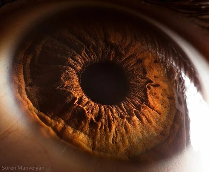 Карие глаза фото радужки Your beautiful eyes on Behance Eye close up, Human eye, Brown eyes aesthetic