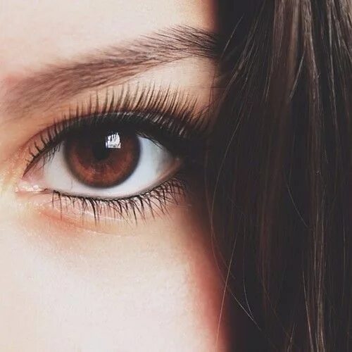 Карие глаза фото женские Make-Up Tips for Brown Eyes - herinterest.com Brown eyes pop, Brown eyes aesthet