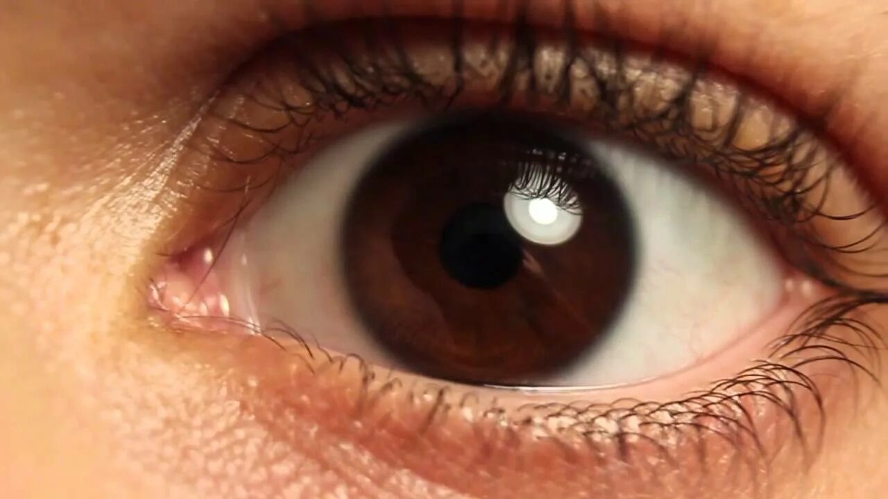 Карие глаза фото женские вблизи Epic HD slow motion :: The human eye in slow motion - YouTube