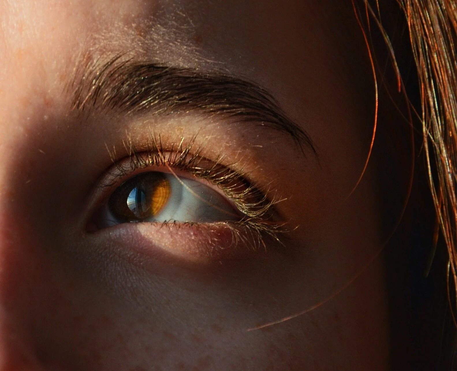 Карие глаза на солнце фото Pin by everyone hate arco;// on нуя Eye photography, Brown eyes aesthetic, Amber