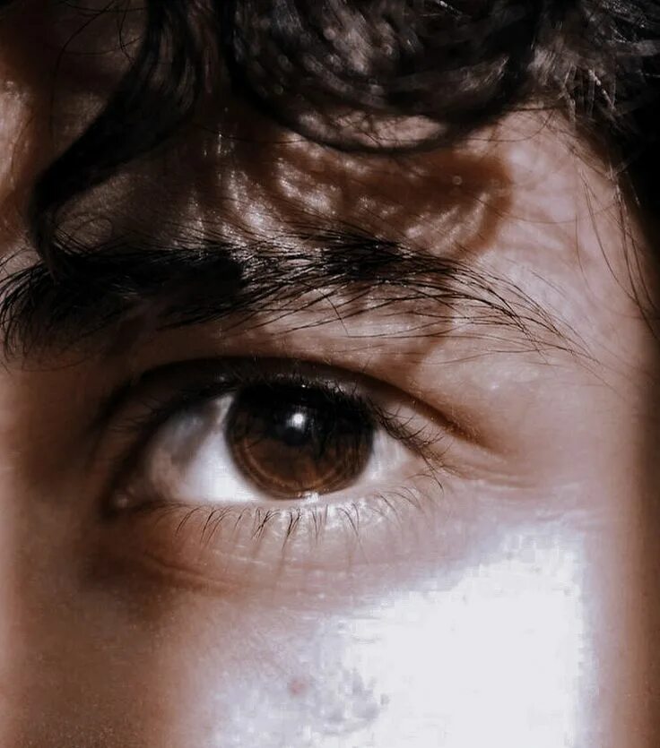 Карие глаза парней фото Pin on ╱ anne with an e Brown eyes aesthetic, Eye photography, Aesthetic eyes
