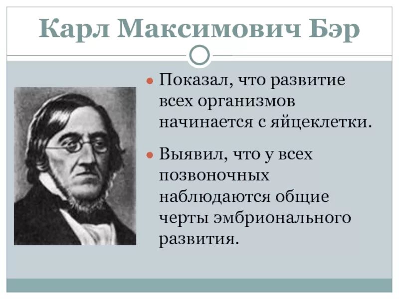 Карл бэр фото Презентация Предпосылки возникновения теории Дарвина презентация, доклад