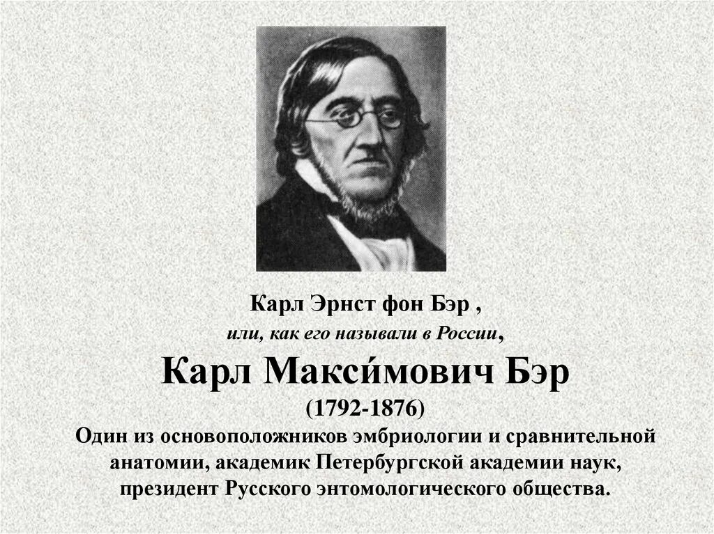 Карл бэр фото Учение о клетке. 9 класс - презентация онлайн