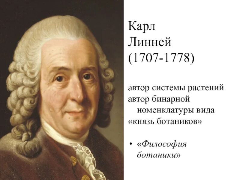 Карл линней фото Б О Т А Н И К А д.б.н. Андрей Васильевич Ена презентация, доклад