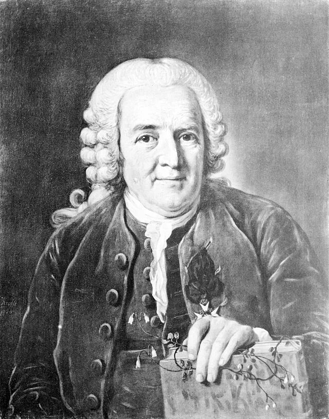 Карл линней фото File:Portrait of Carl Linnaeus (1707 - 1778), Wellcome M0001346.jpg - Wikimedia 