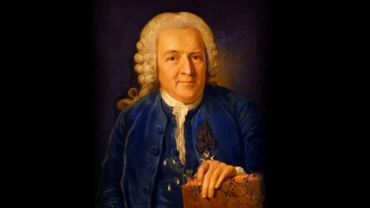 Карл линней фото BBC World Service - The Forum, Carl Linnaeus: Naming nature - Clips