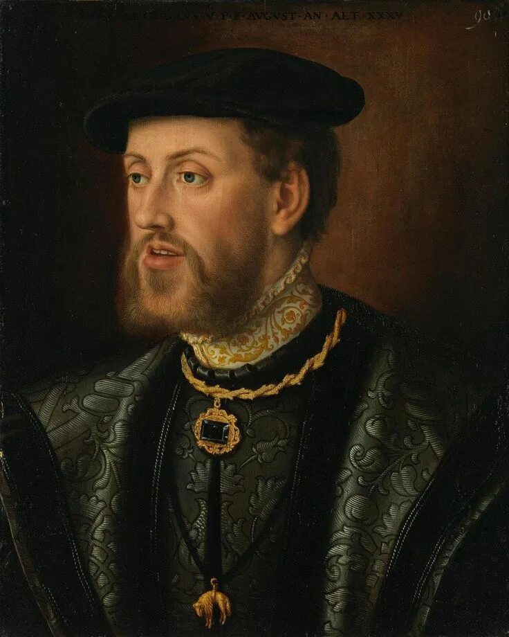 Карл v фото Natalie Grueninger on Instagram: "Time for another portrait! Emperor Charles V b