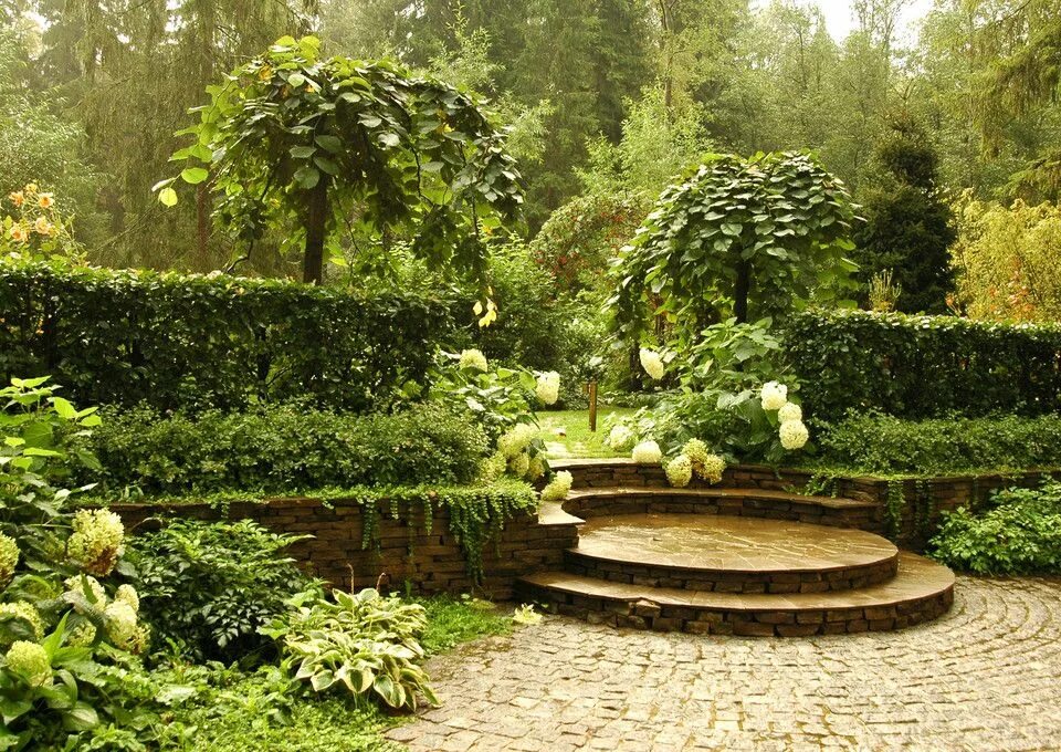 Карликовый сад фото alexander grivko / novoglogolevo garden Garden styles, Garden landscape design, 