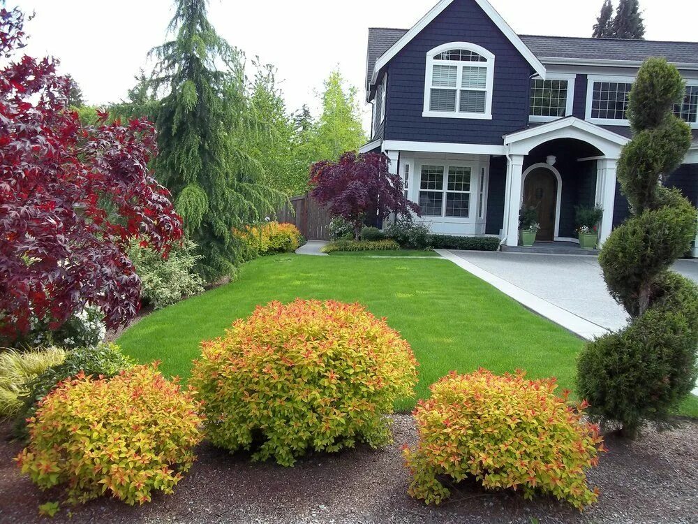 Карликовый сад фото Japanese Spirea, such as 'Magic Carpet, - Google Search Landscaping shrubs, Fron