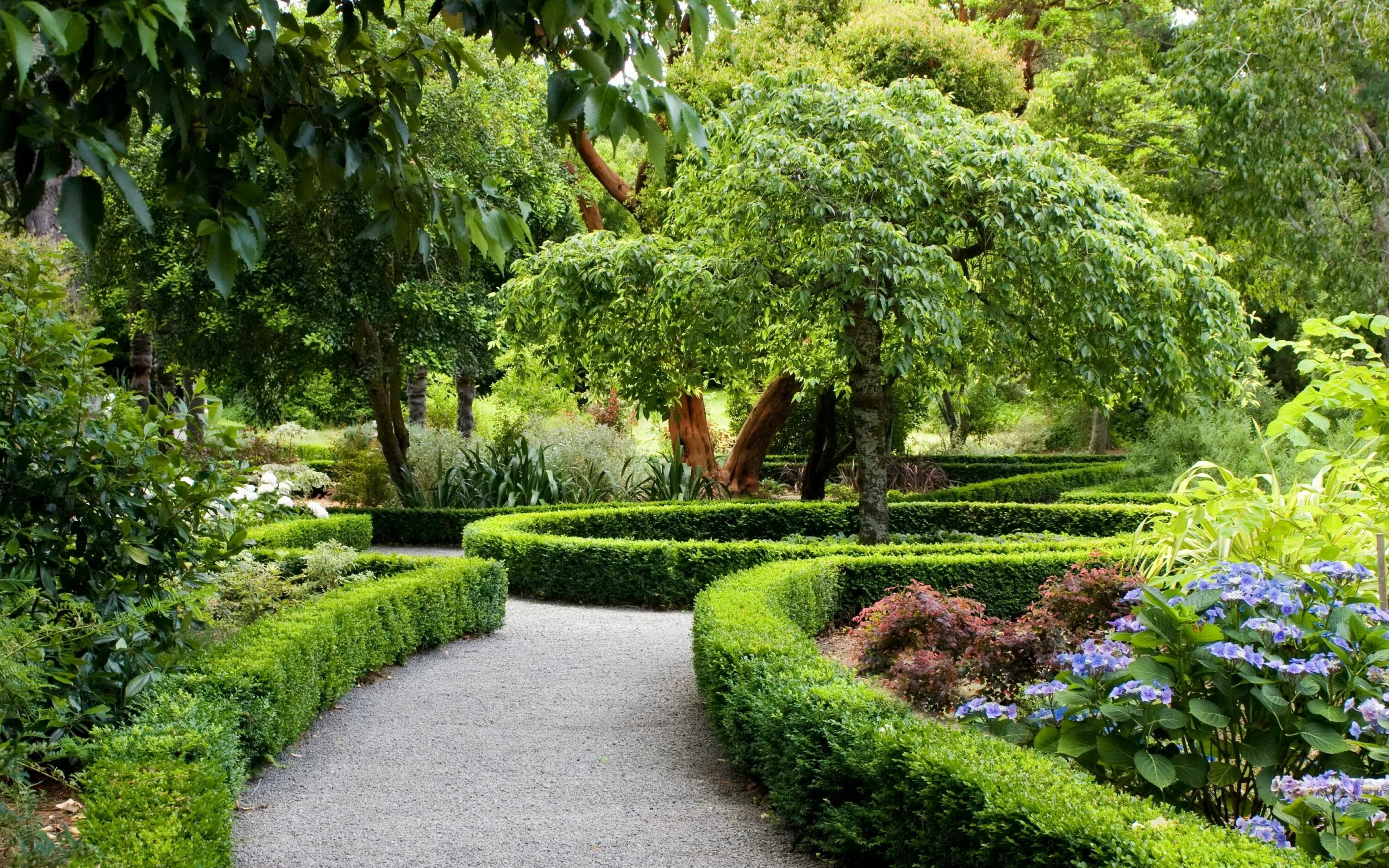 Карликовый сад фото Pin on Garden Dutch gardens, Landscape design courses, Landscape design