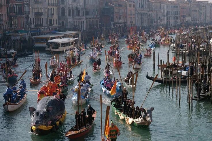 Карнавал на воде фото разный Venice carnival 2019 Carnival of venice, Venice, Venice carnival costumes