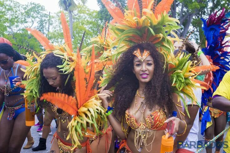 Карнавал отпуск фото Top 10 Annual Barbados Festivals Caribbean & Co. Caribbean carnival, Barbados we