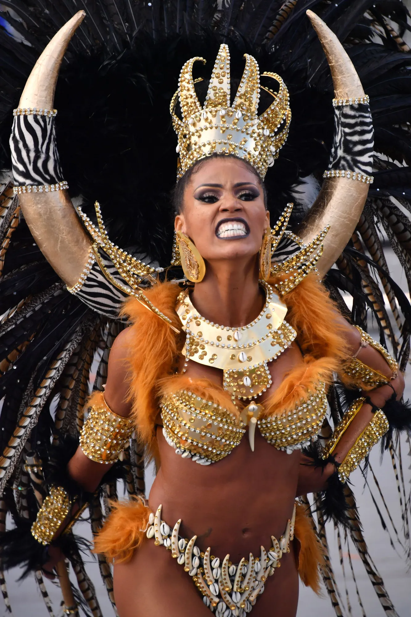 Карнавал певица фото Carnival in Brazil