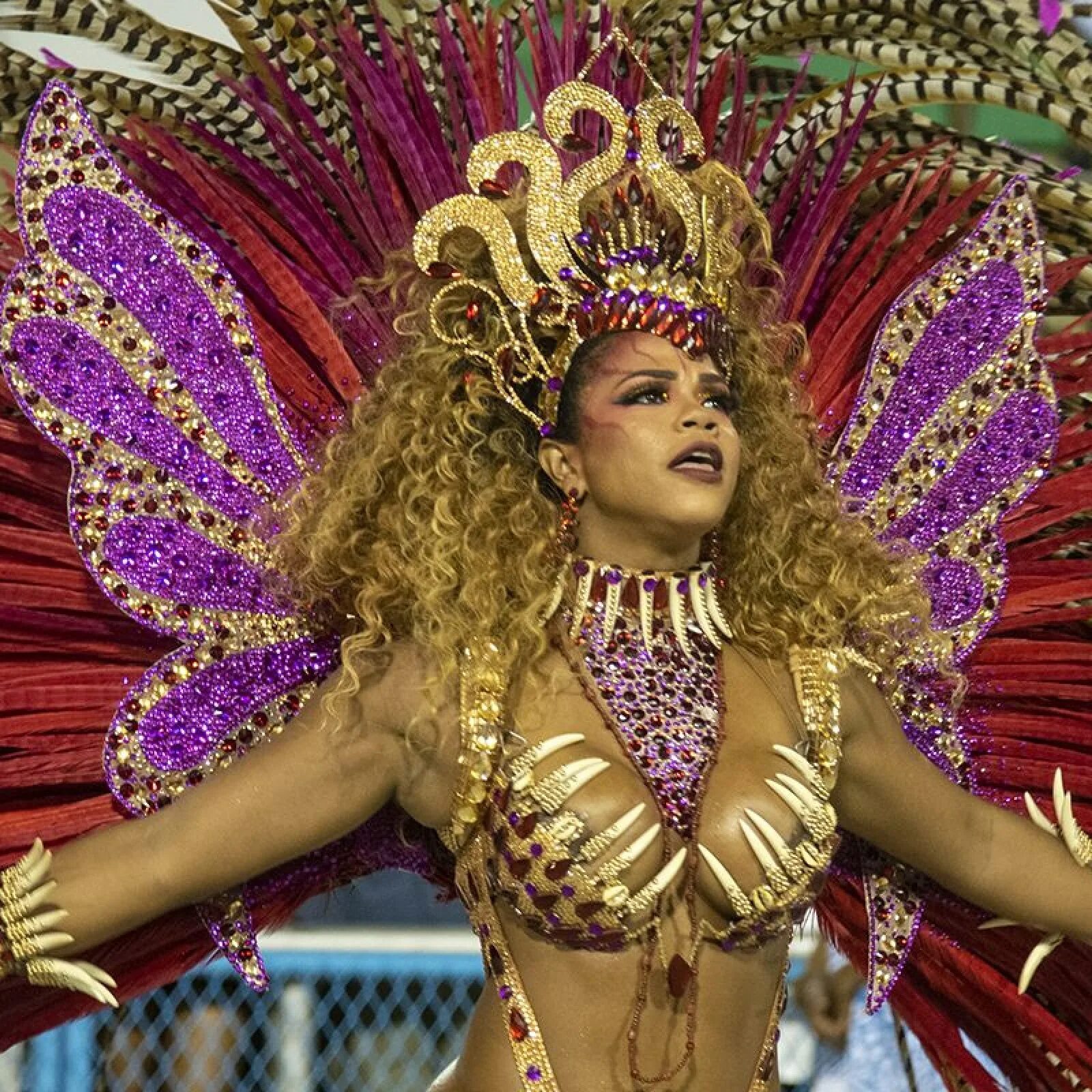 Карнавал певица фото Brazil Carnival parades, brazil carnival