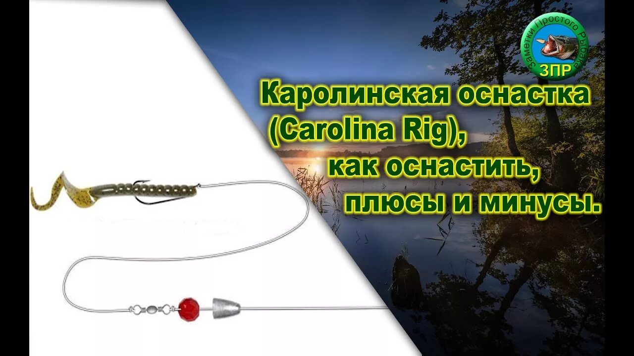 Каролинская оснастка Каролинская оснастка Carolina Rig, как оснастить, плюсы и минусы - YouTube