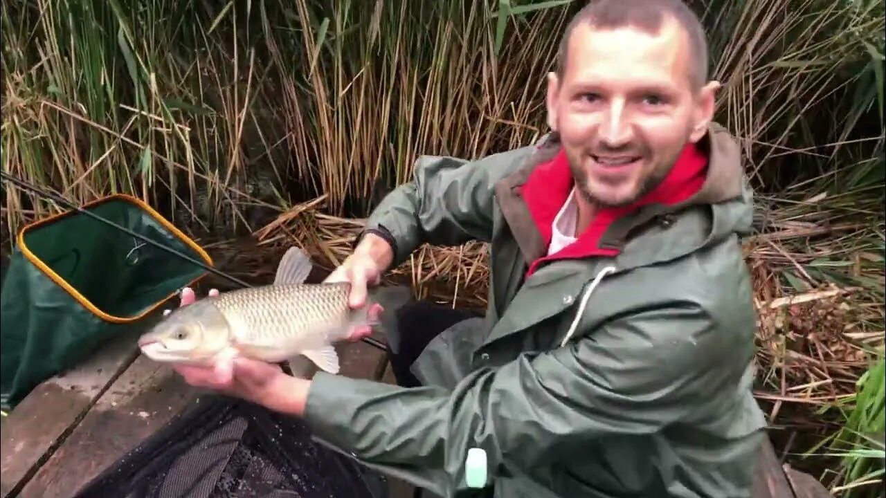 Карп дикий фото Карповая рыбалка! Поймали Белого Амура! Сазан! Зеркальный карп! - YouTube