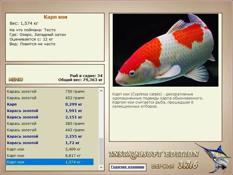 Карп кои на что ловить РУССКАЯ РЫБАЛКА Installsoft Edition