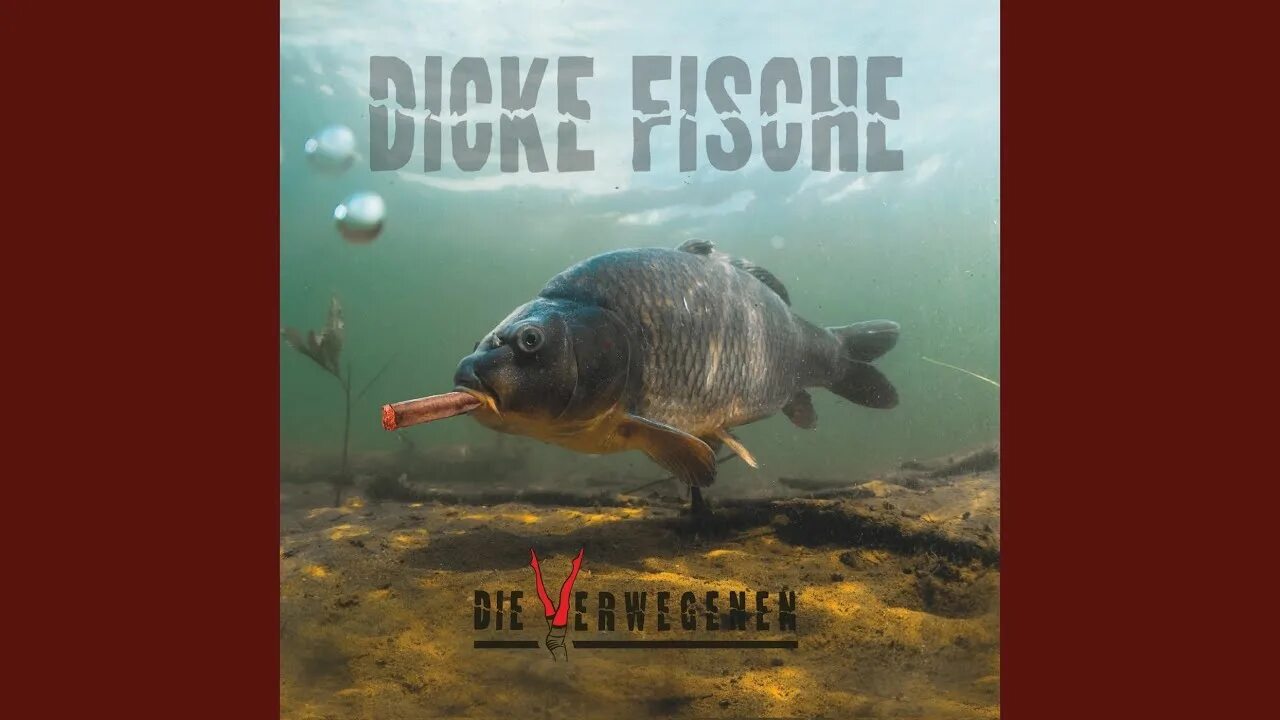 Карп в воде фото Dicke Fische - Die Verwegenen: Song Lyrics, Music Videos & Concerts