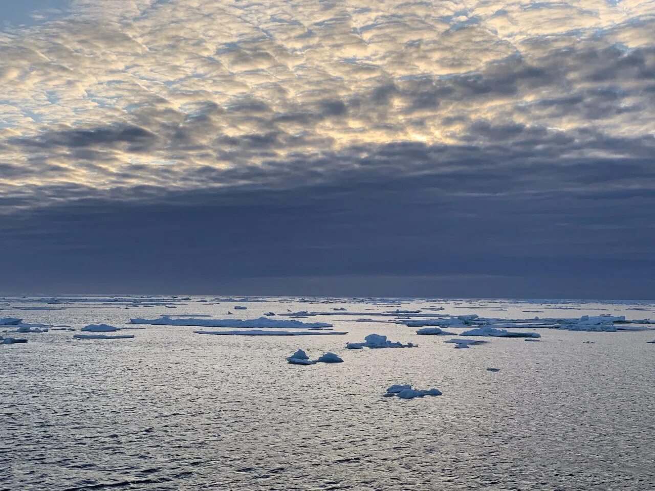 Карское море фото САФУ - Дневник второго рейса Арктического плавучего университета-2023. День пятн