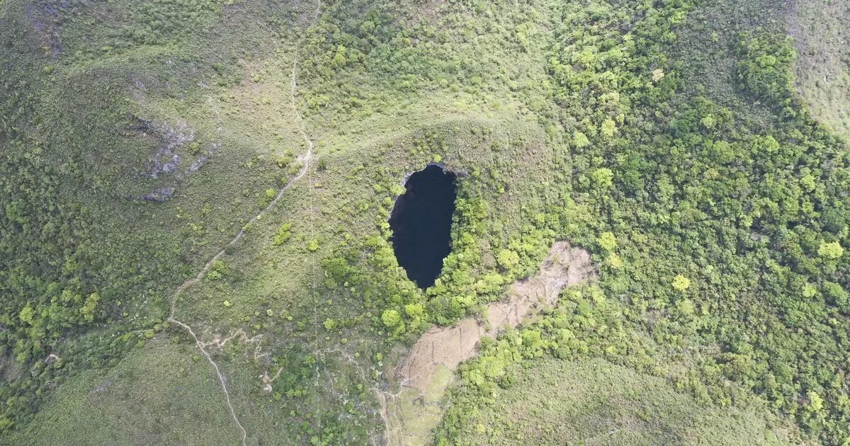 Карстовая воронка в китае фото Ancient forest world discovered in huge sinkhole more than 600ft below the surfa