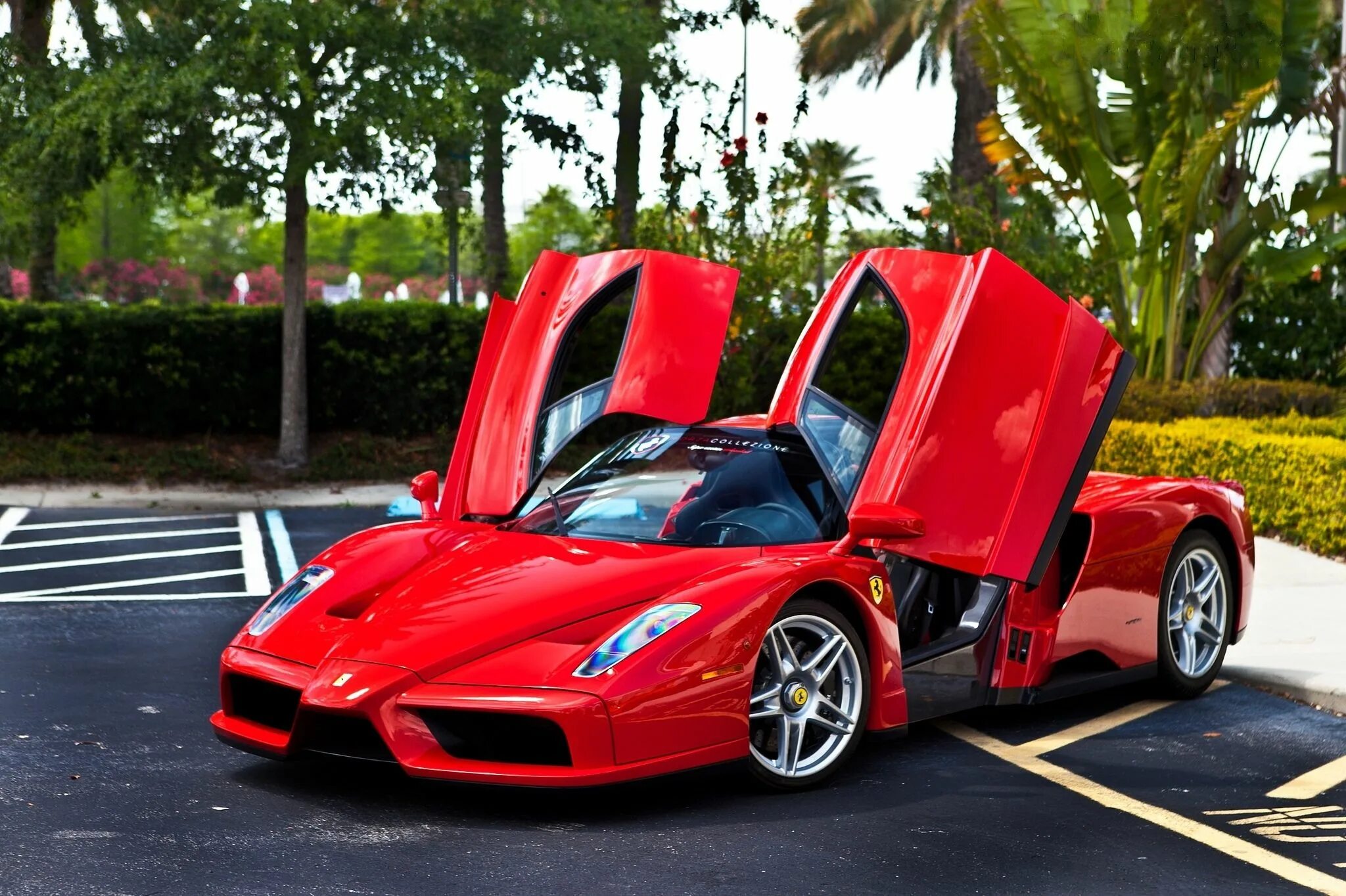 Карт фото машина Ferrari Enzo Wallpapers SuperCars.net