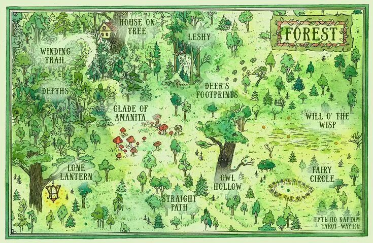 Карта леса фото Maps on Behance Fantasy world map, Illustrated map, Forest map