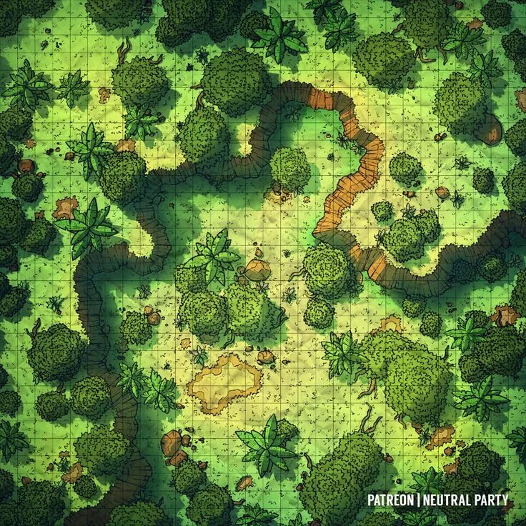 Карта леса фото Pin by Sarah Brown on D&D in 2024 Fantasy city map, Forest map, Fantasy map