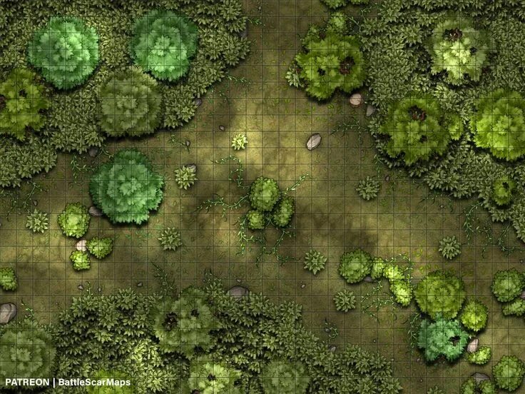 Карта леса фото Forest Clearing Battle Map, Dnd Battle Map, D&D, Battlemap, Dungeons and Dragons