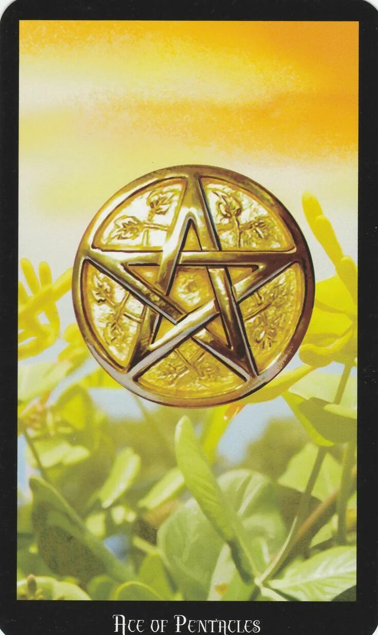 Карта таро на деньги фото на телефон Witches Tarot Deck by Ellen Dugan & Mark Evens. Tarot cards art, Ace of pentacle