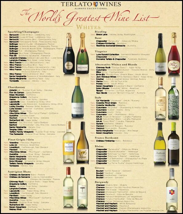 Карта вин фото Terlato Greatest Wine List Wine food pairing, Wine list, Wine recipes