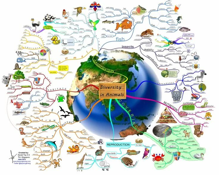 Карта жизни фото Diversity in Animals Visual.ly Mind map, Mind map art, Animal infographic