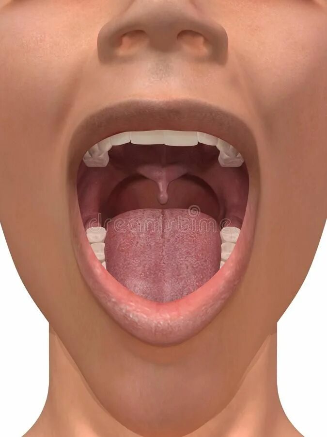 Карцинома горла фото Human mouth. 3d rendered illustration of an open mouth , #Affiliate, #mouth, #Hu