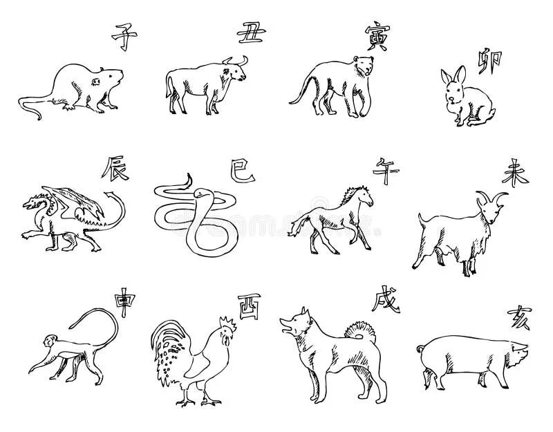 Картинка 12 животных 12 Animals of the Chinese Zodiac Calendar. the Symbols of the New Year, Eastern 