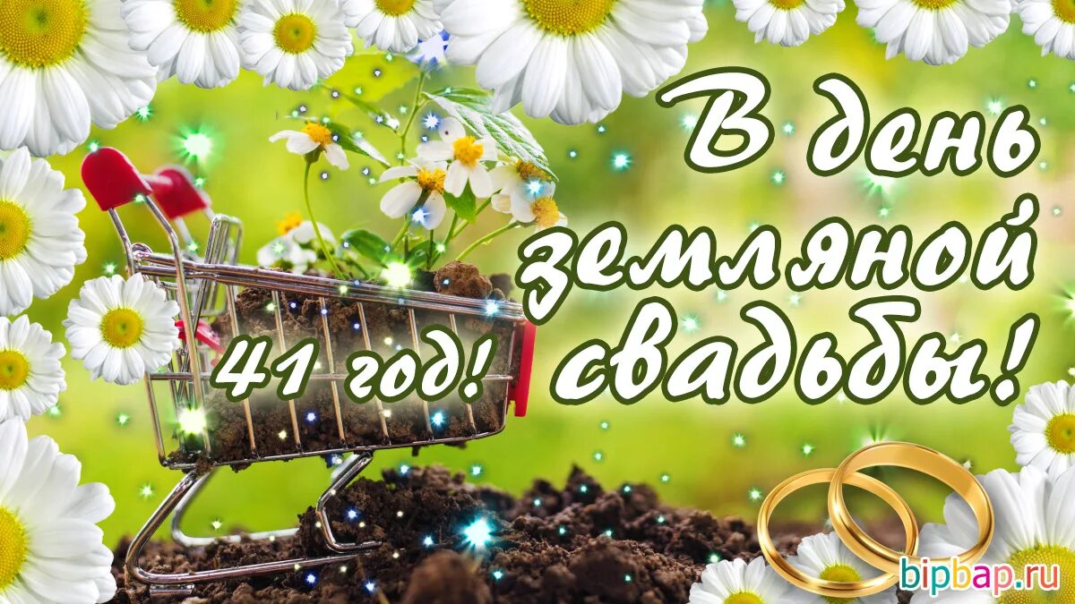 Картинка 41 год свадьбы Земляная свадьба - 41 год, годовщина свадьбы: поздравления, картинки - земляная 