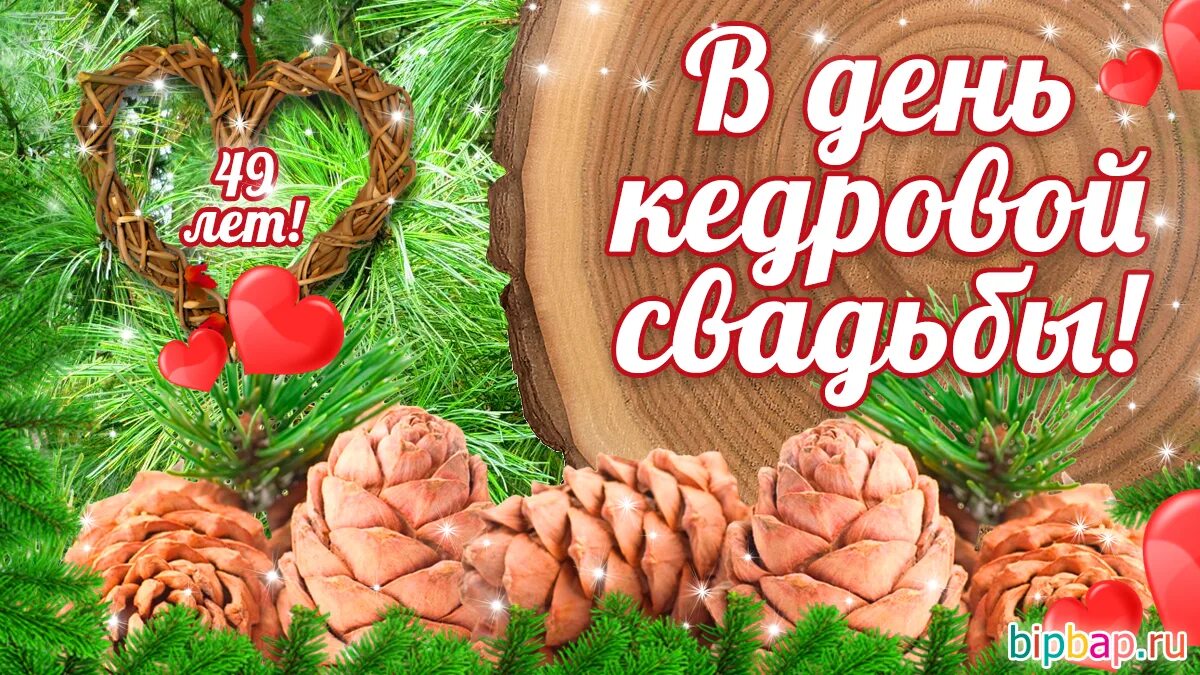 Картинка 49 лет свадьбы Кедровая свадьба - 49 лет, годовщина свадьбы: поздравления, картинки - кедровая 