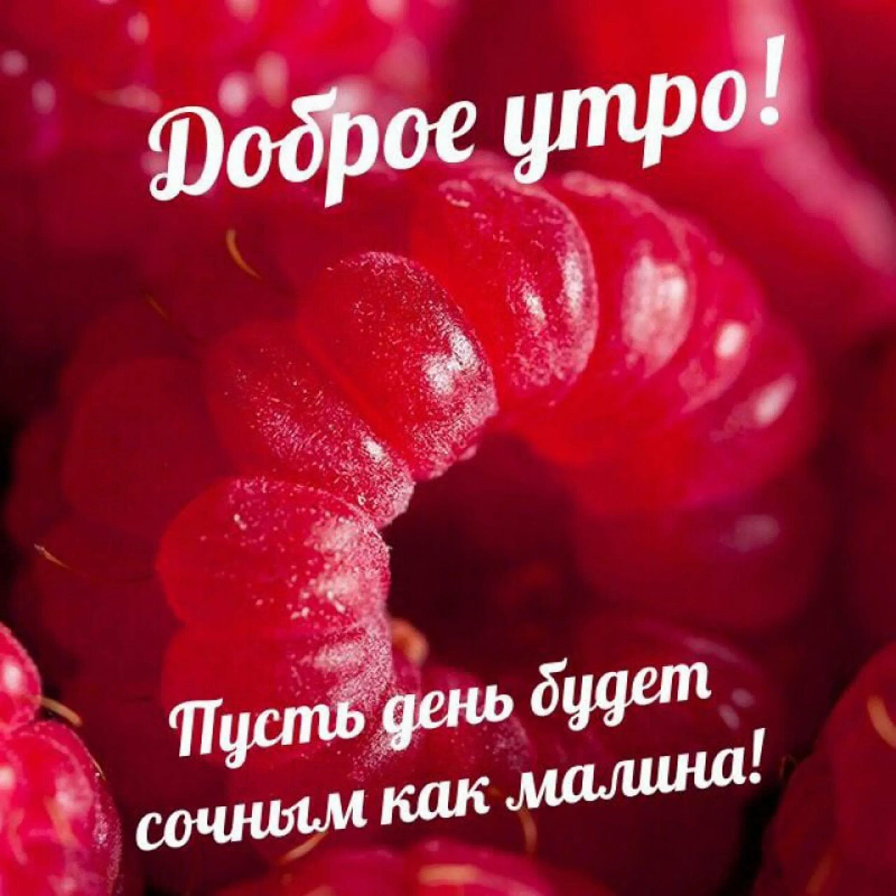 Картинка доброе хорошего дня целую Доброго дня и отличного настроения любимой: найдено 88 изображений