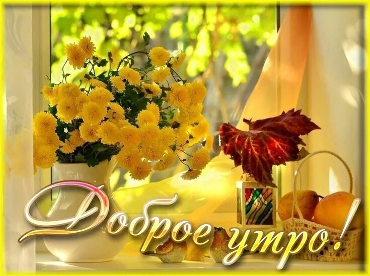Картинка доброе осеннее утро хорошего дня Pin by Djon on Доброе утро Table decorations