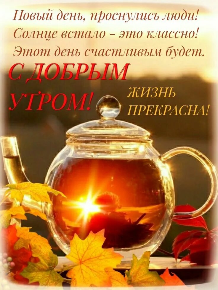 Картинка доброе осеннее утро хорошего дня Пин от пользователя Жанна на доске Доброе утро Доброе утро, Открытки, Благодарны